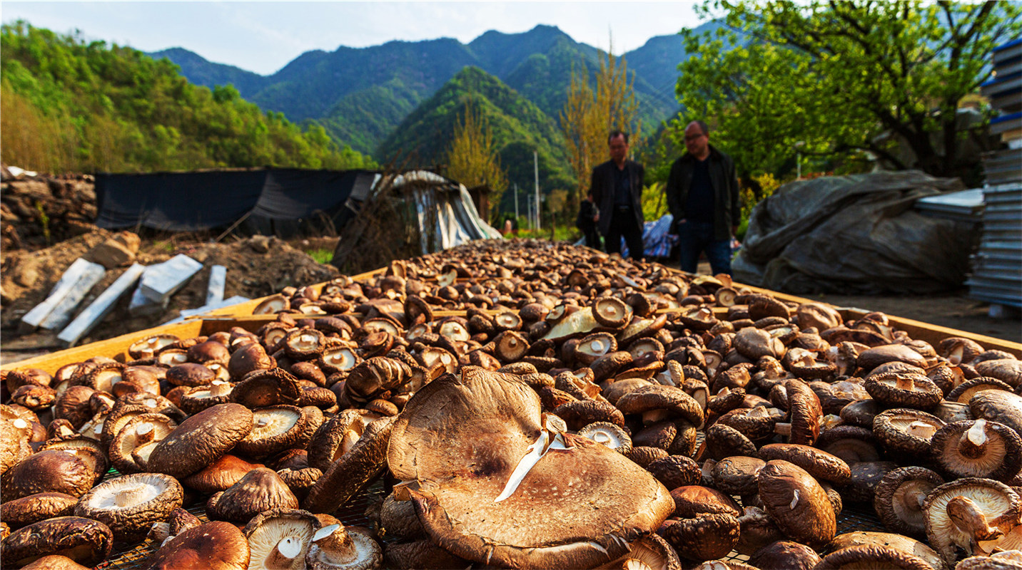 《結(jié)對幫扶，碩果累累》高波